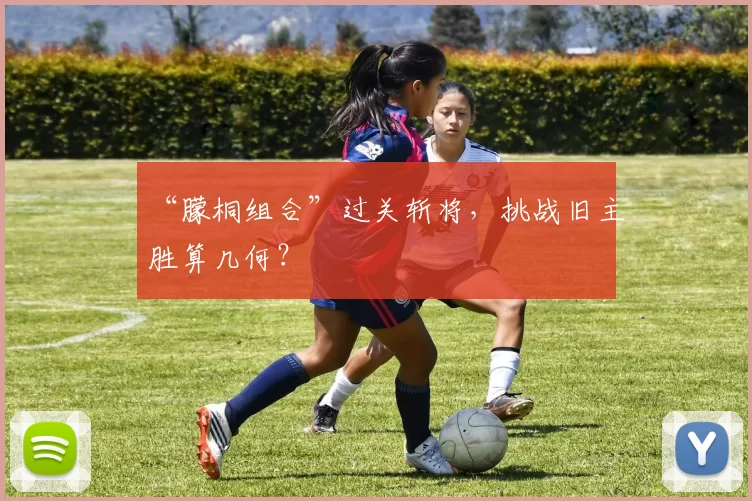 “朦桐组合”过关斩将，挑战旧主胜算几何？