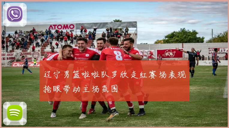 辽宁男篮啦啦队罗欣走红赛场表现抢眼带动主场氛围