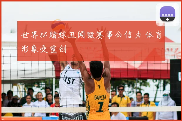 世界杯赌球丑闻毁赛事公信力 体育形象受重创
