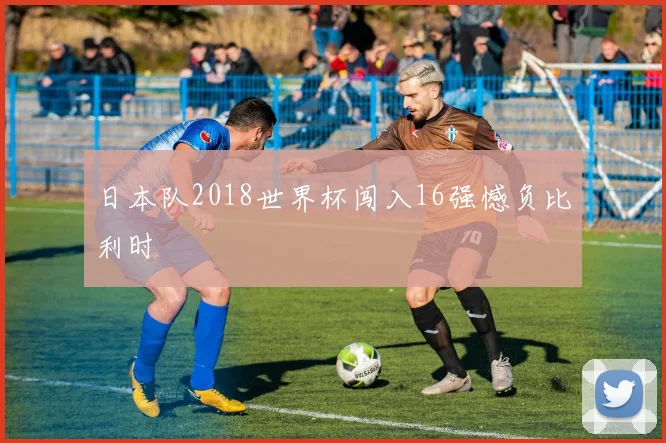 日本队2018世界杯闯入16强憾负比利时