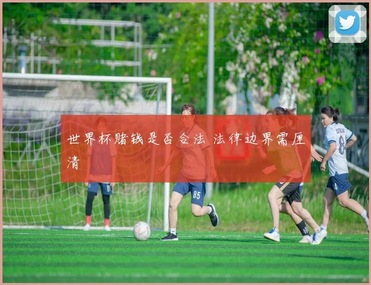 世界杯赌钱是否合法 法律边界需厘清